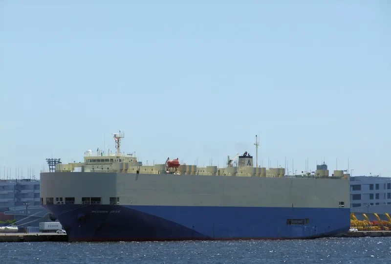DA FENG GANG HE SHUN HAO General Cargo IMO 9188805 photo 10