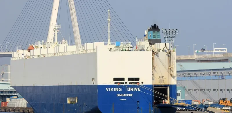 VIKING DRIVE General Cargo IMO 9188817 photo 3