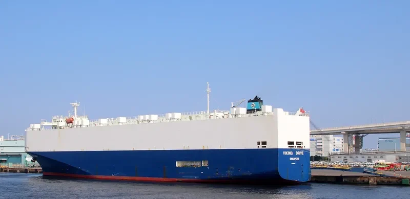 VIKING DRIVE General Cargo IMO 9188817 photo 4