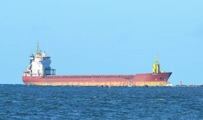 KAMELIA General Cargo IMO 9188958 photo 7