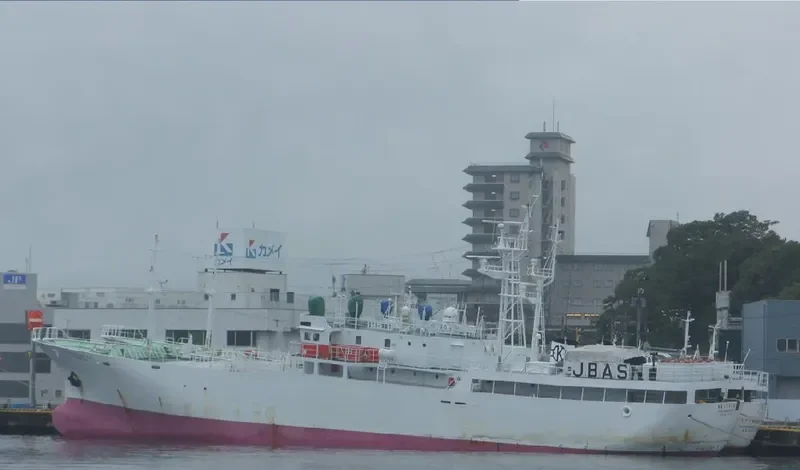 KINEI MARU NO.53 General Cargo IMO 9189031