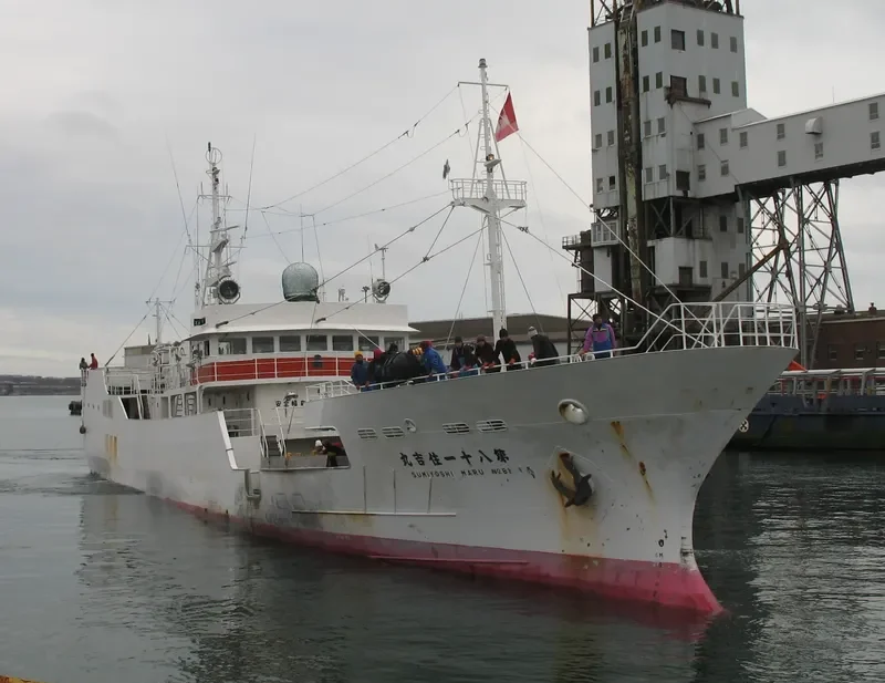 SUMIYOSHI MARU NO.81 General Cargo IMO 9189079 photo 2