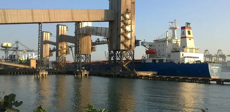 TIANHAO 18 Bulk Carrier IMO 9189081 photo 3