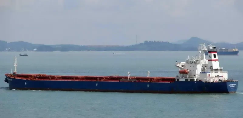 TIANHAO 18 Bulk Carrier IMO 9189081 photo 10
