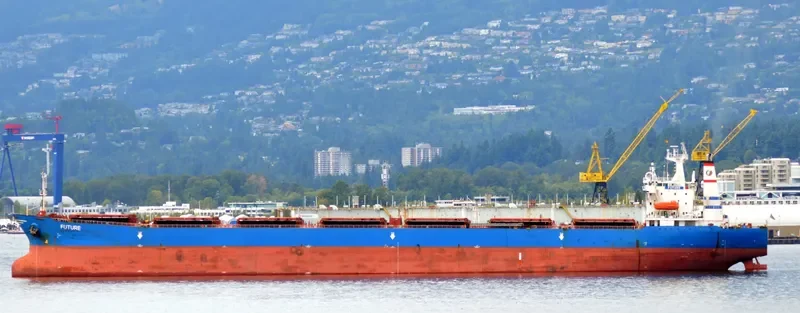 JIN NING 7 Bulk Carrier IMO 9189093 photo 4