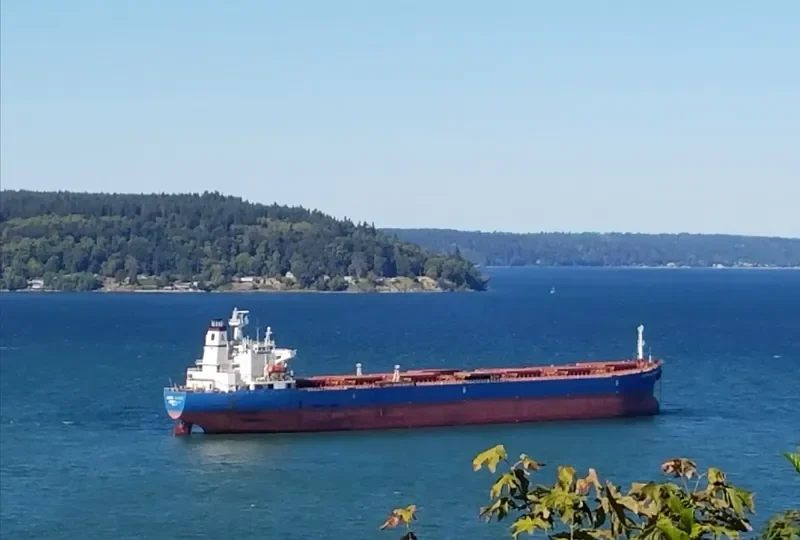 JIN NING 17 Bulk Carrier IMO 9189108