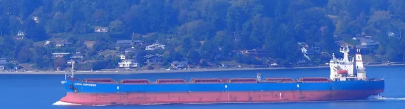JIN NING 17 Bulk Carrier IMO 9189108 photo 2