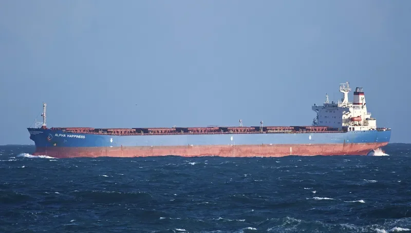 JIN NING 17 Bulk Carrier IMO 9189108 photo 5