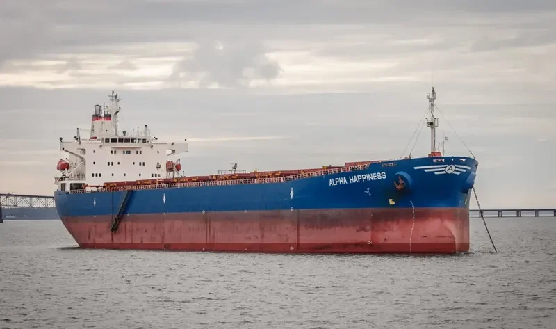 JIN NING 17 Bulk Carrier IMO 9189108 photo 9