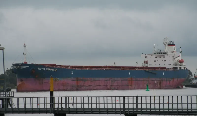JIN NING 17 Bulk Carrier IMO 9189108 photo 10