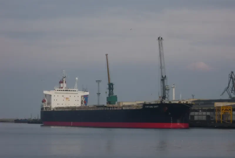 TIAN HAO 17 Bulk Carrier IMO 9189213