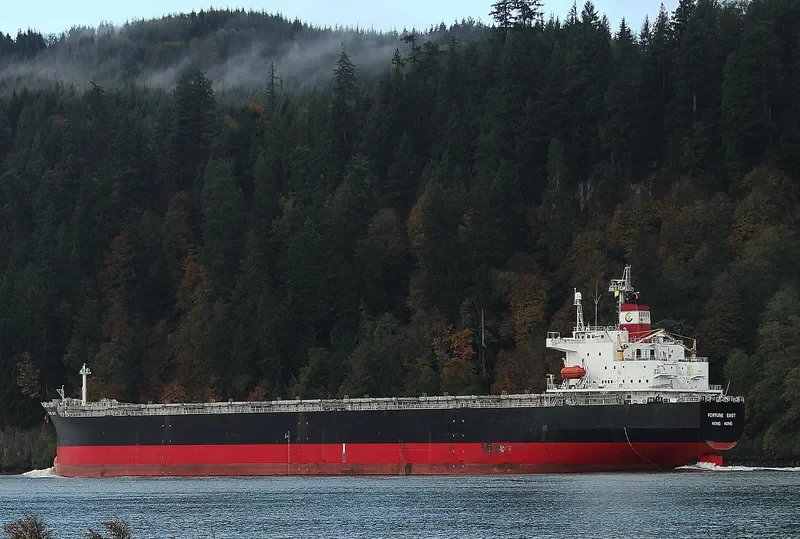 TIAN HAO 17 Bulk Carrier IMO 9189213 photo 2