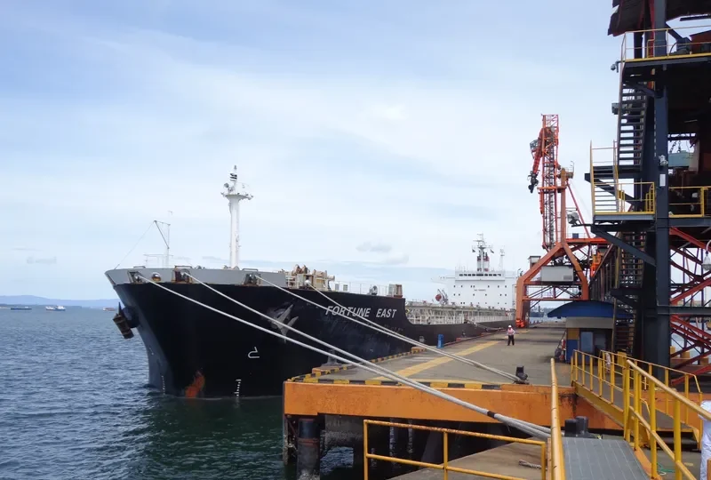 TIAN HAO 17 Bulk Carrier IMO 9189213 photo 5