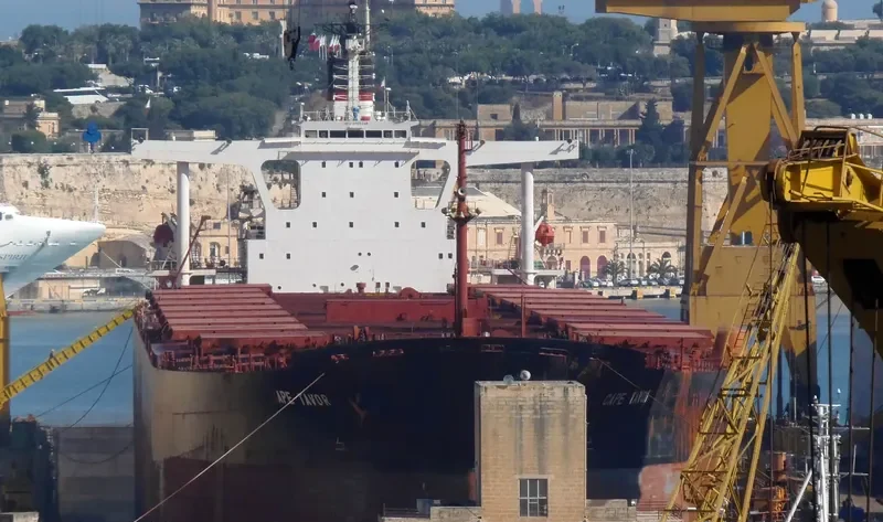 CAPE TAVOR Bulk Carrier IMO 9189249 photo 9