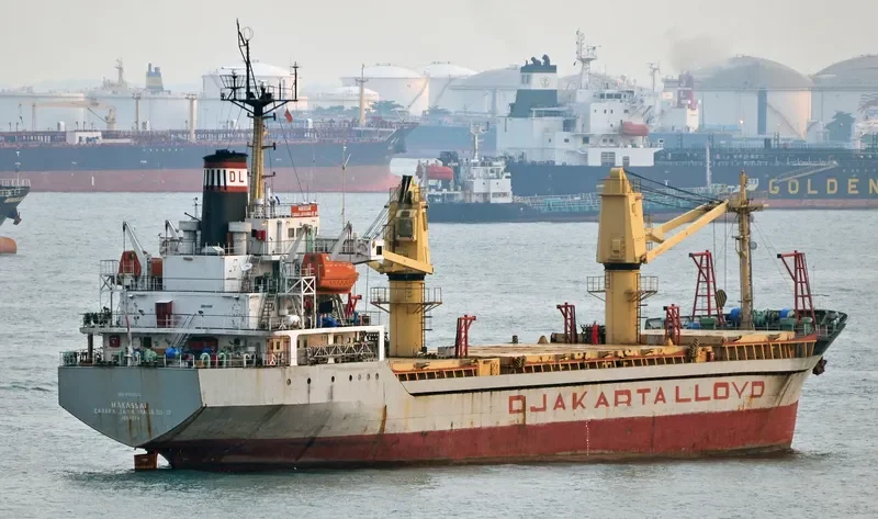 TRANS ASIA 12 Container Ship IMO 9189263 photo 2