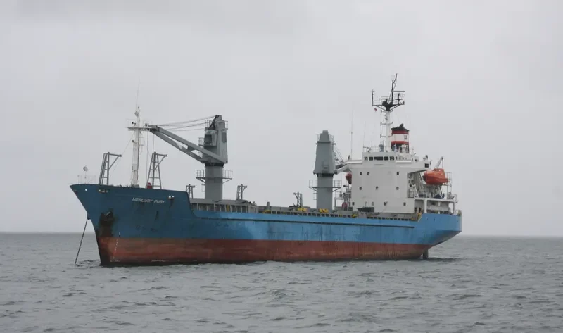 TRANS ASIA 12 Container Ship IMO 9189263 photo 3