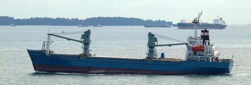 TRANS ASIA 12 Container Ship IMO 9189263 photo 5