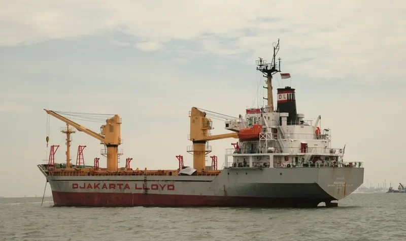 TRANS ASIA 12 Container Ship IMO 9189263 photo 8