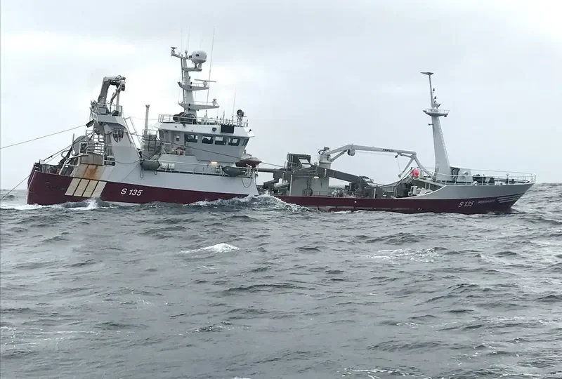 MENHADEN General Cargo IMO 9189330