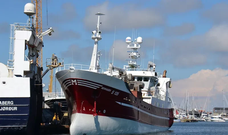MENHADEN General Cargo IMO 9189330 photo 5
