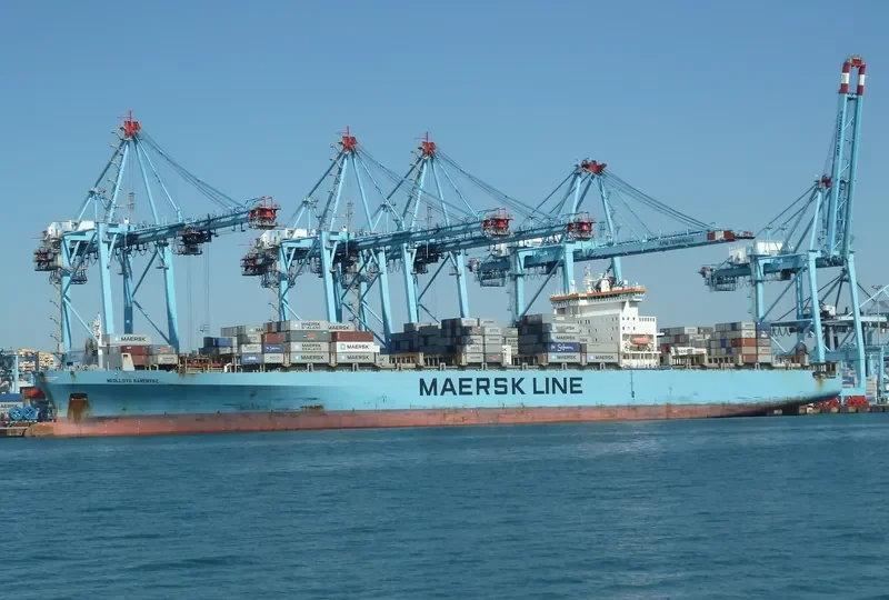 MSC TAVVISHI Container Ship IMO 9189366 photo 5