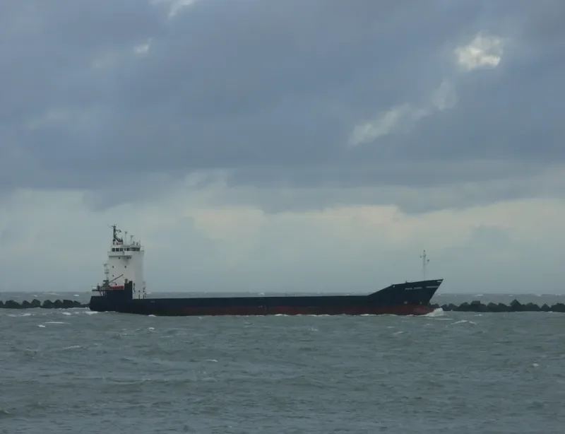 JUAN DIEGO General Cargo IMO 9189574 photo 10