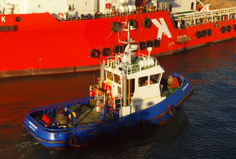 CORMORANT 1 General Cargo IMO 9189689