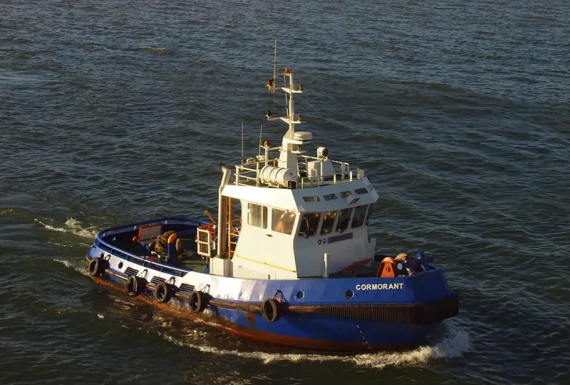 CORMORANT 1 General Cargo IMO 9189689 photo 2