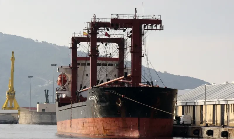 MAMBA B General Cargo IMO 9189706 photo 7
