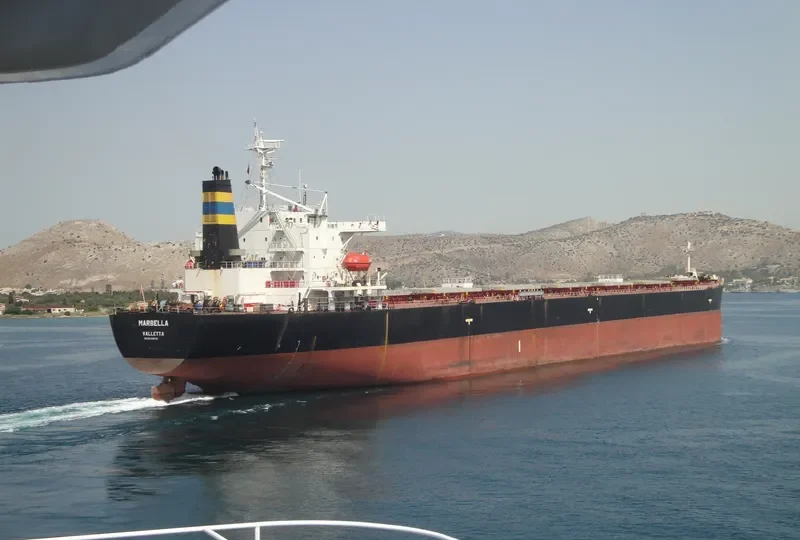 MARBELLA Bulk Carrier IMO 9189782 photo 7