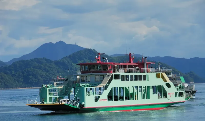 NICE OSAKI Passenger Ship IMO 9189823 photo 2