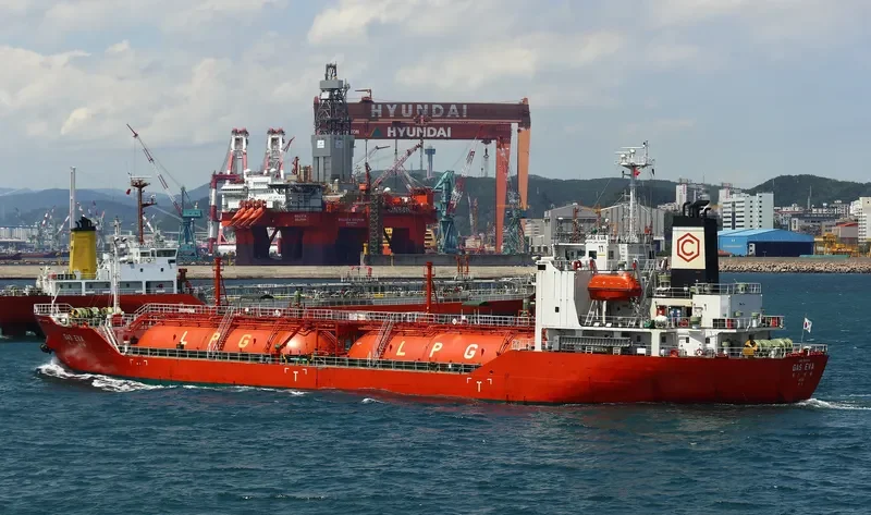 GAS EVA General Cargo IMO 9189976 photo 7
