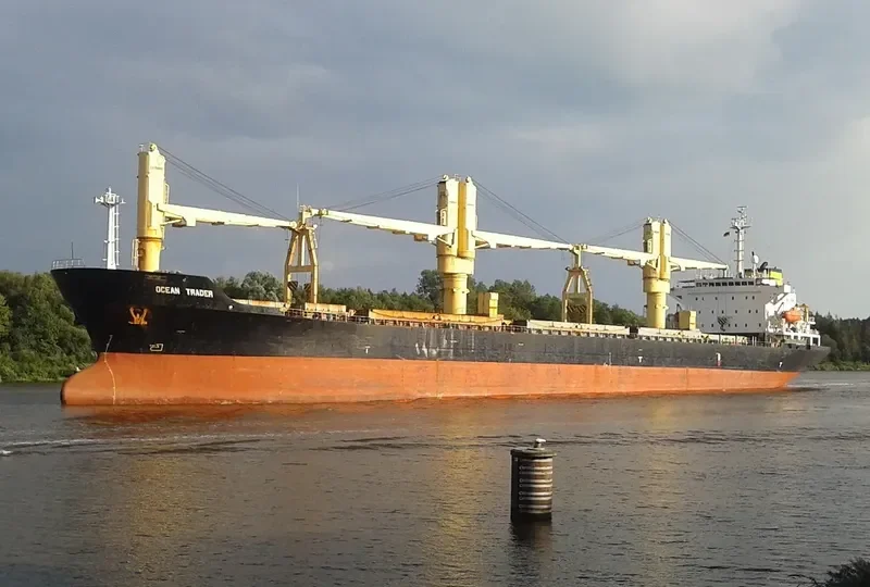 JESSIE Bulk Carrier IMO 9190004 photo 2