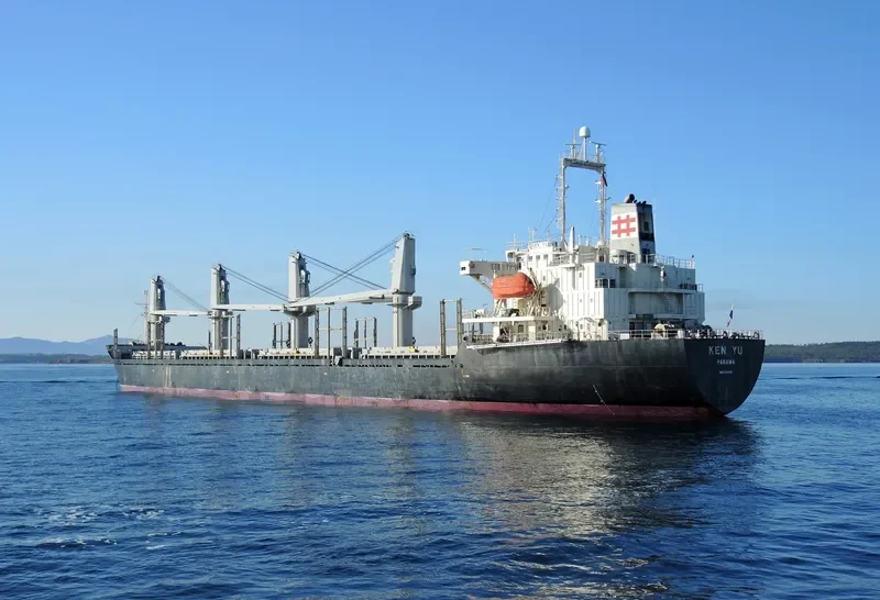 KEN YU Bulk Carrier IMO 9190016 photo 2