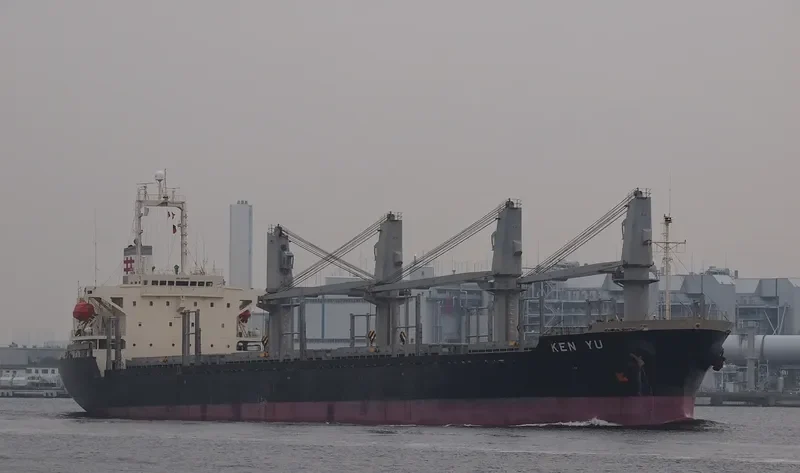 KEN YU Bulk Carrier IMO 9190016 photo 6
