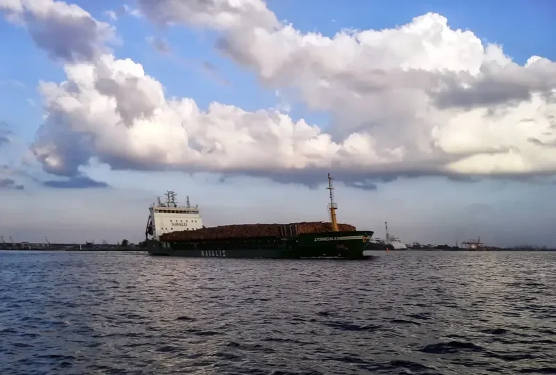 TORNEDALEN General Cargo IMO 9190808 photo 4