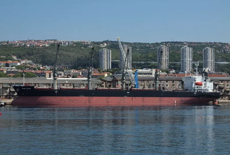TRUE FAITH Bulk Carrier IMO 9191034