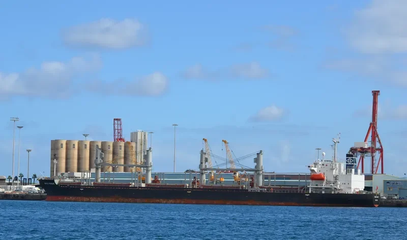 TRUE FAITH Bulk Carrier IMO 9191034 photo 8