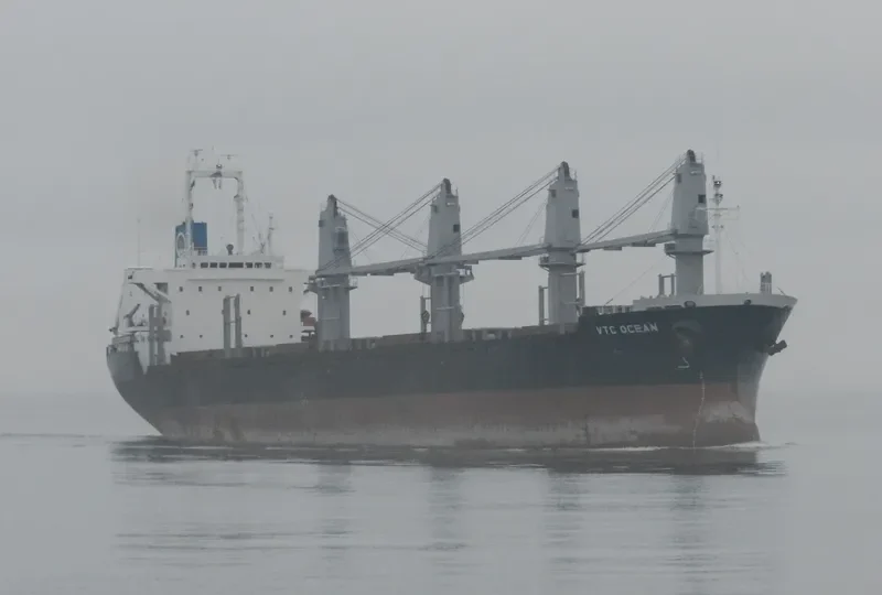 VTC OCEAN Bulk Carrier IMO 9191046 photo 4