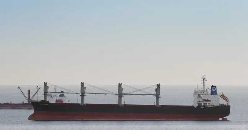 VTC OCEAN Bulk Carrier IMO 9191046 photo 8