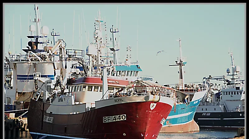 BERYL BF 440 General Cargo IMO 9191060 photo 6