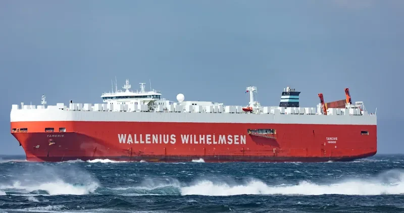 TAMESIS General Cargo IMO 9191307