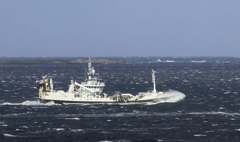 LONNINGEN General Cargo IMO 9191539