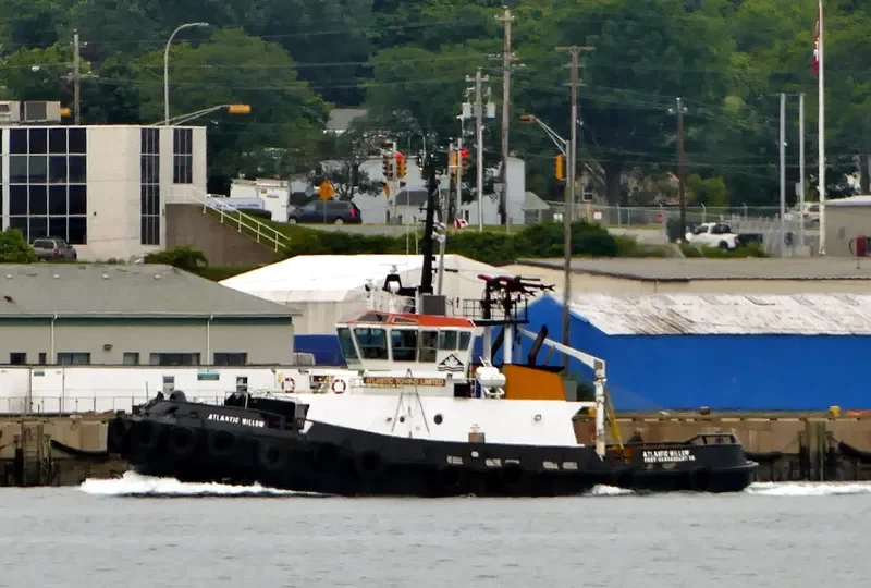 ATLANTIC WILLOW General Cargo IMO 9192117 photo 2