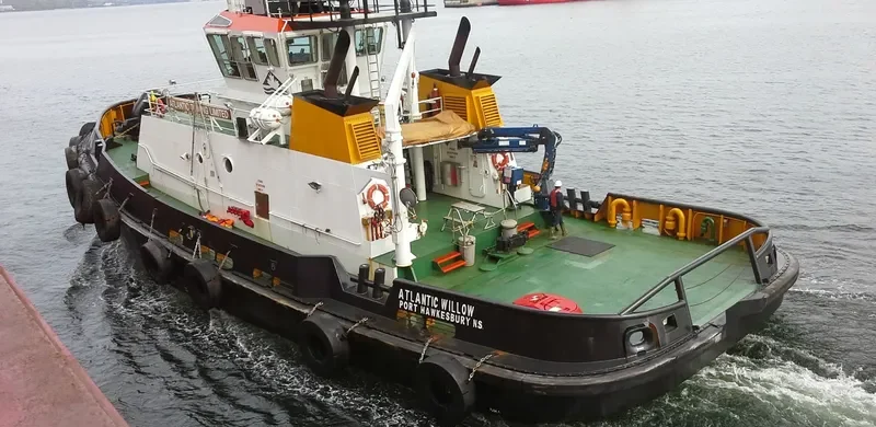ATLANTIC WILLOW General Cargo IMO 9192117 photo 5