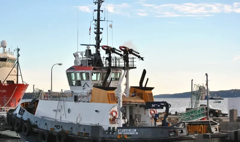 ATLANTIC WILLOW General Cargo IMO 9192117 photo 6