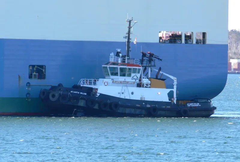 ATLANTIC WILLOW General Cargo IMO 9192117 photo 10