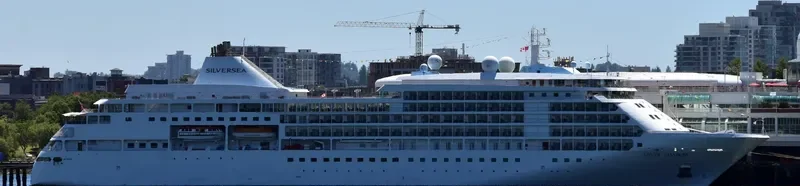 SILVER SHADOW Passenger Ship IMO 9192167 photo 9