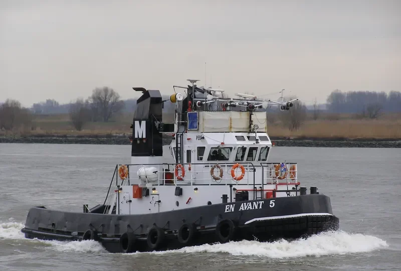 SOUND SUPPORTER General Cargo IMO 9192313 photo 5
