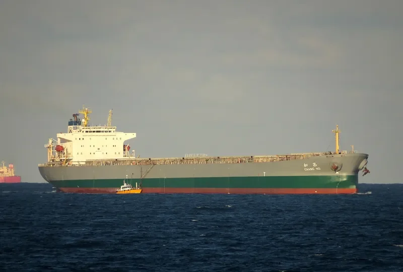 CHANG HO Bulk Carrier IMO 9192416 photo 2